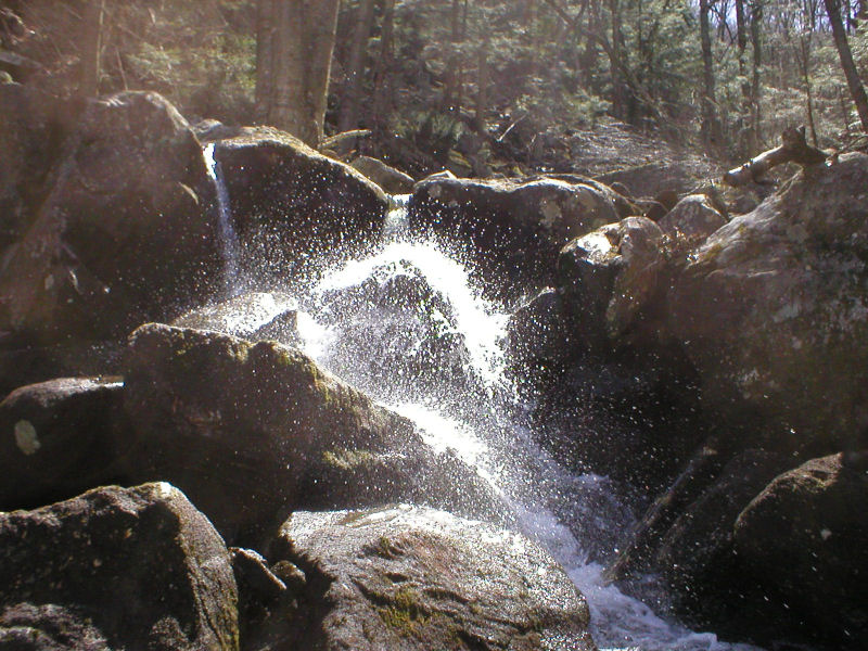 Gold Mine Brook falls